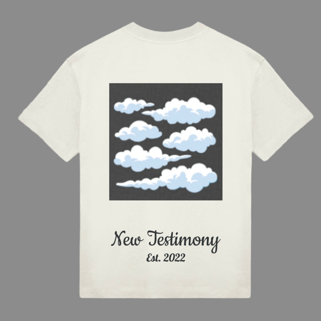 Oversized T White Dreamchasers